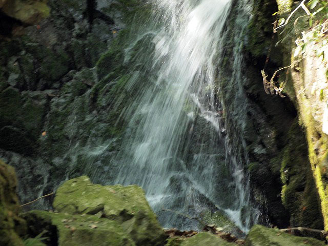 d0295818_00534812.jpg