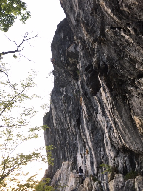 b0037220_13200214.jpg