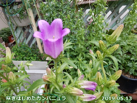 e0033229_1824978.jpg