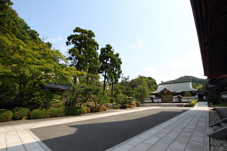 鎌倉散歩　#68 －新緑の北鎌倉 建長寺（前編）－ _b0169330_22355722.jpg