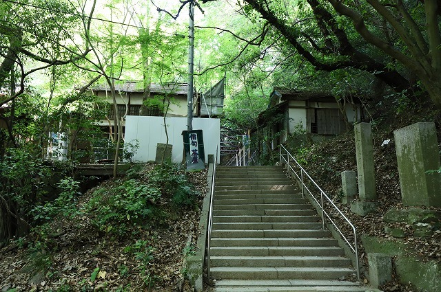 a0242438_21183383.jpg