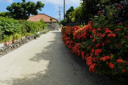 c0148238_18444901.jpg