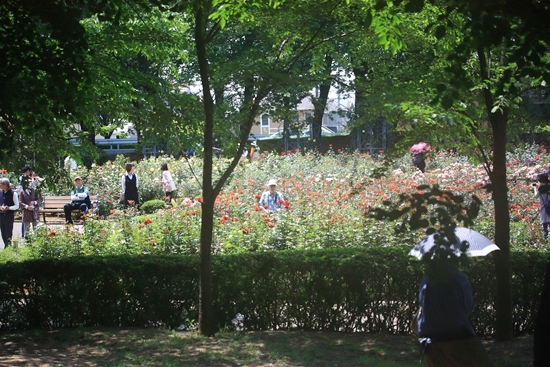 c0229539_15421219.jpg