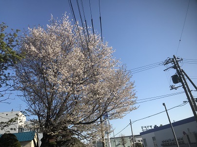 c0227640_07383503.jpg