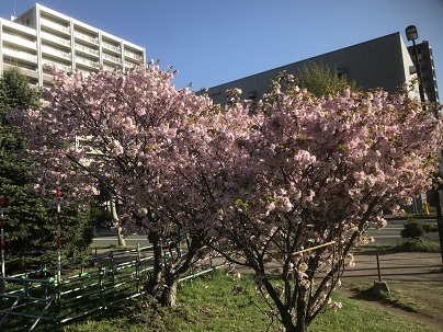 c0227640_07384878.jpg