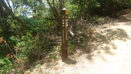 雷声寺~摩耶アルプス~掬星台~アドベンチャールート_c0218841_09180684.jpg