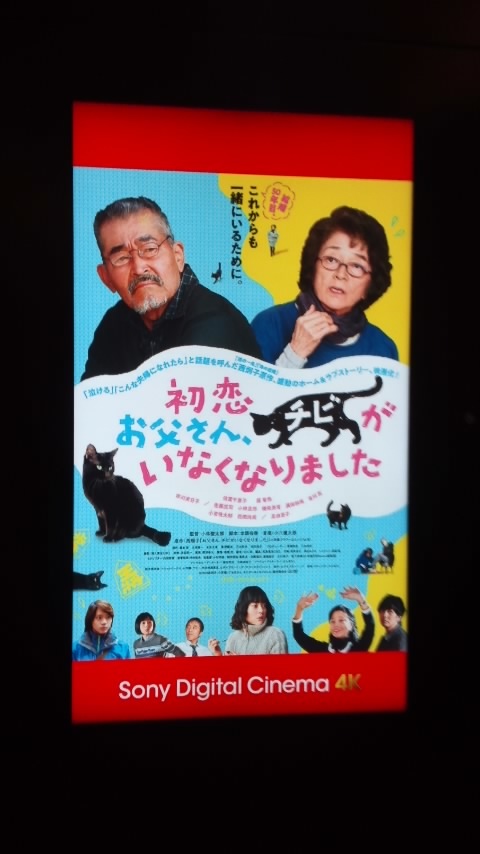 星由里子の遺作 初恋 お父さん チビがいなくなりました お散歩アルバム 深まる秋に 星由里子の遺作 初恋 お父さん チビがいなくなりました お散歩アルバム 深まる秋に