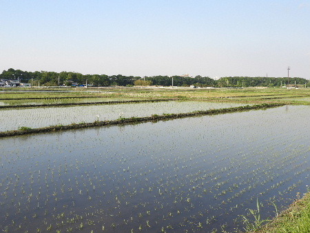 e0172950_21012748.jpg
