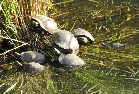 e0172950_21015116.jpg