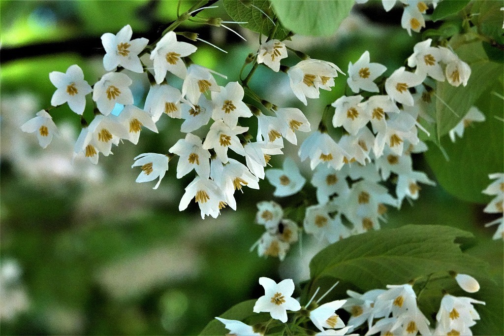 b0236251_11445558.jpg