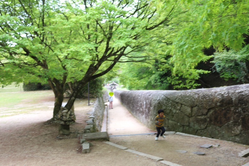 e0372651_21554512.jpg