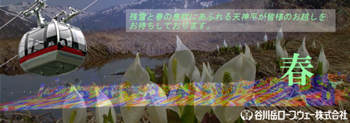 a0290852_11372967.png