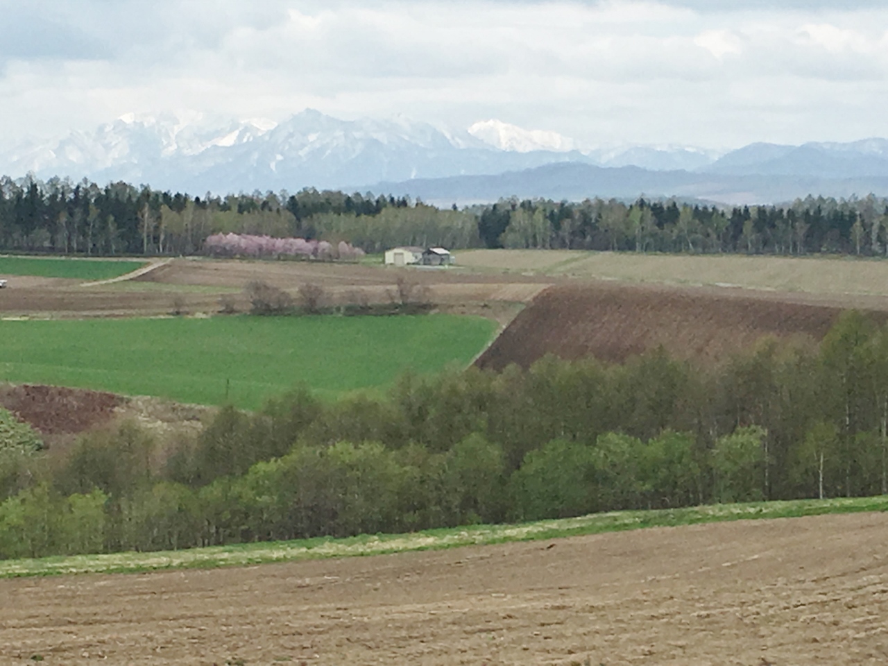 e0326953_21524320.jpg