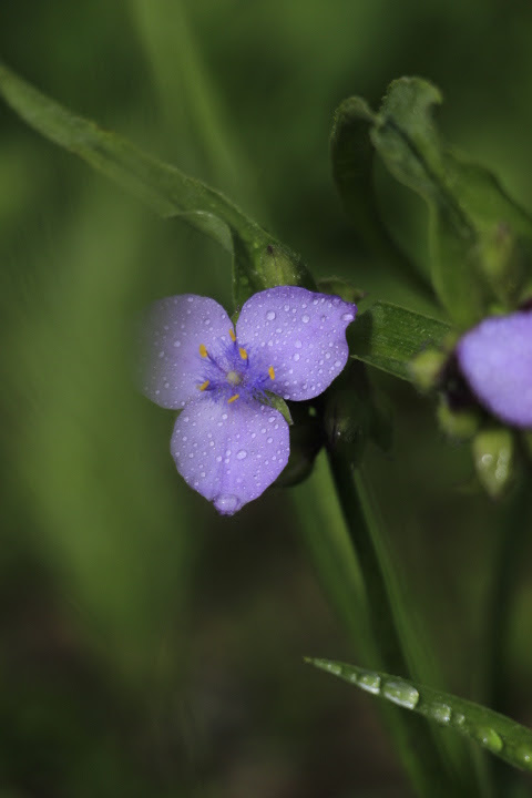 a0248459_14332977.jpg