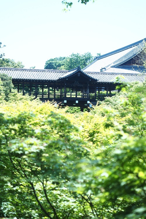 初夏の東福寺_a0292060_14505300.jpg