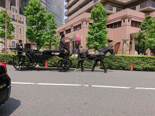 c0100865_06012134.jpg