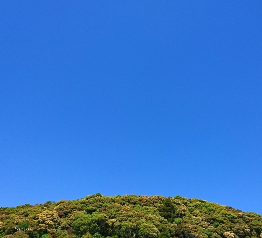 d0362666_16140406.jpg
