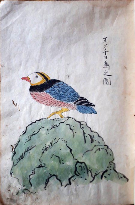 古文書発掘(環海異聞、青山大火瓦版、古絵葉書ほか)あとは猫とテレビ視聴記(GW後虚脱状態です):2019/5/10-12twitterまとめ_b0116271_10035857.jpg