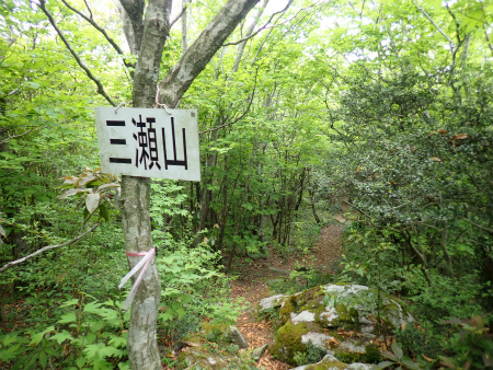d0182075_06462157.jpg