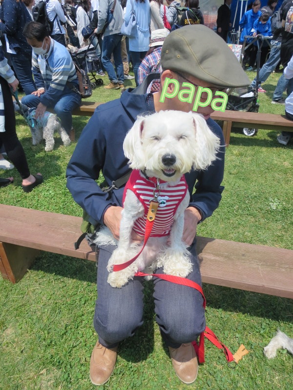 髭犬祭ありがとう おぽログ 髭犬祭ありがとう おぽログ
