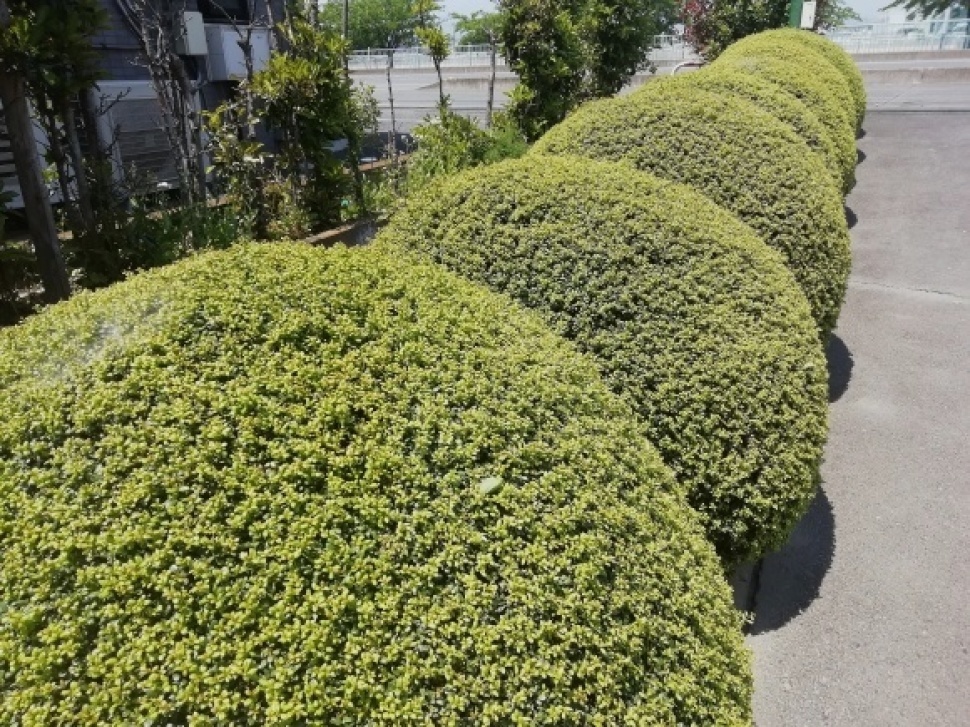 c0212083_17285519.jpg