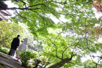 新緑が綺麗な庭園等......婚礼写真は鳥取市内の有隣荘で......_b0194185_21170957.jpg