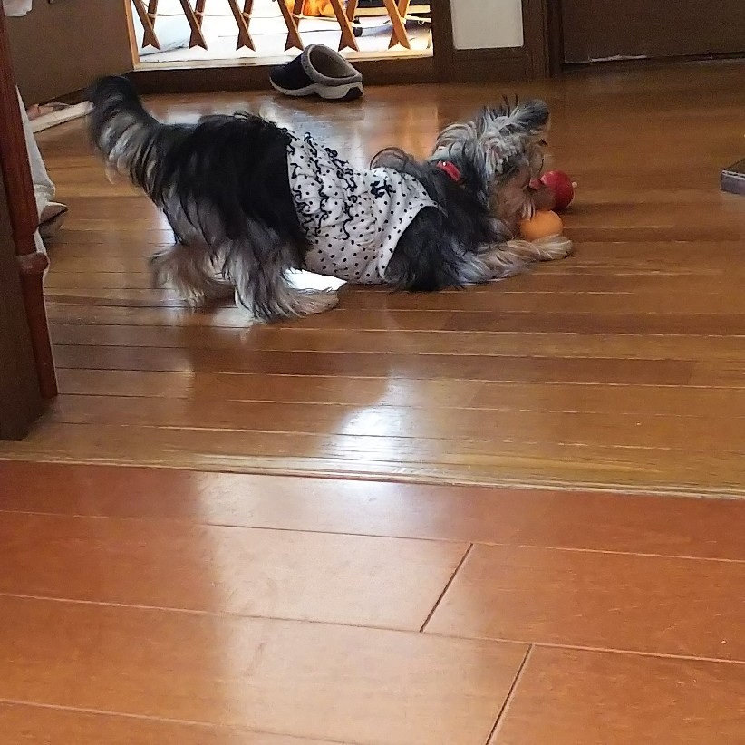 c0191390_11463663.jpg