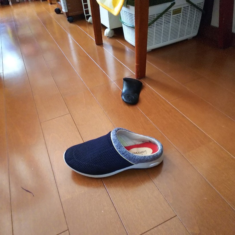 c0191390_11493500.jpg
