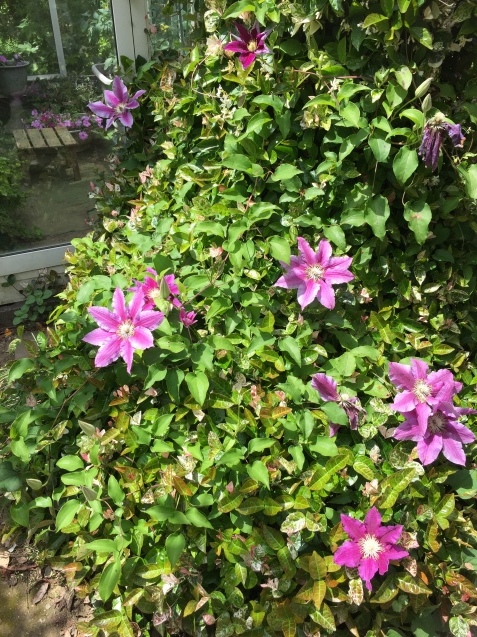 f0084492_13224238.jpeg