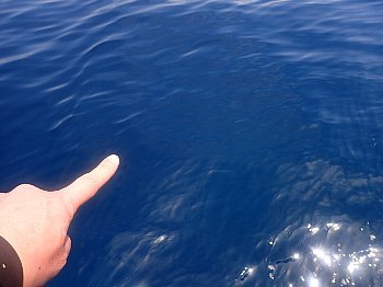f0079996_19231604.jpg