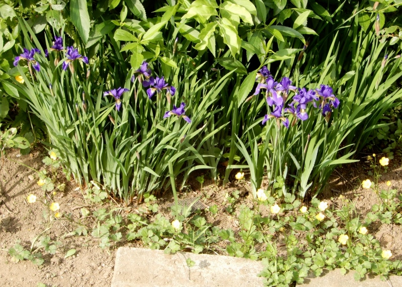 e0025300_2022245.jpg