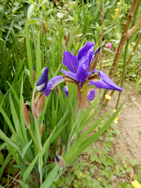 e0025300_20244660.jpg