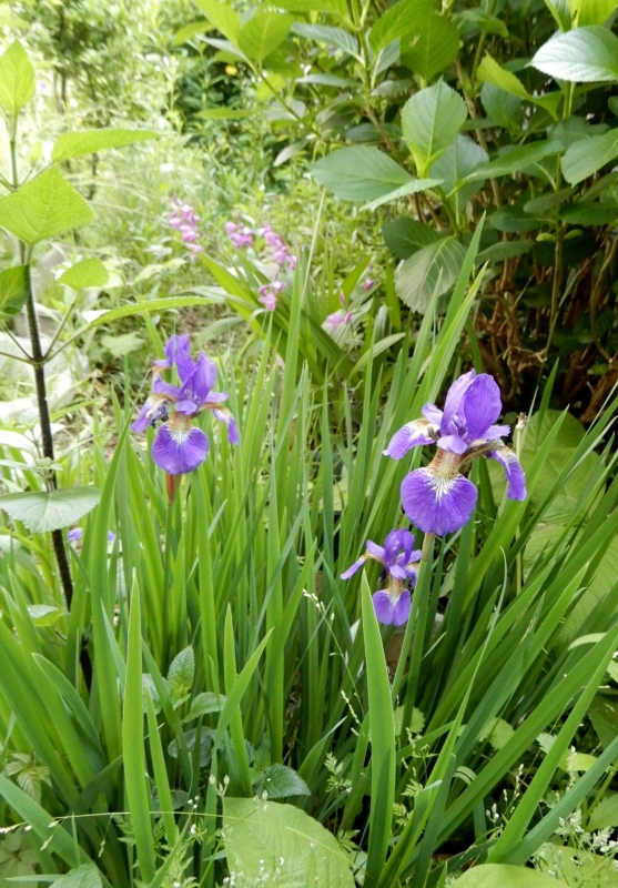 e0025300_20293289.jpg