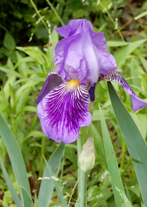 e0025300_20344621.jpg