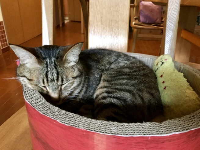 c0362401_10373879.jpeg