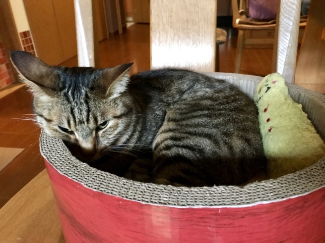 c0362401_10384260.jpeg