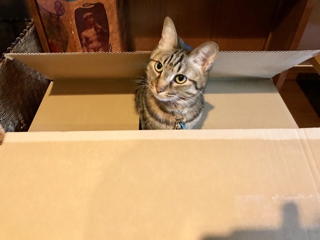 c0362401_12125579.jpeg