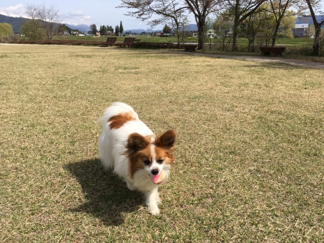 ゴールデン出張 その1_f0034602_09452817.jpeg