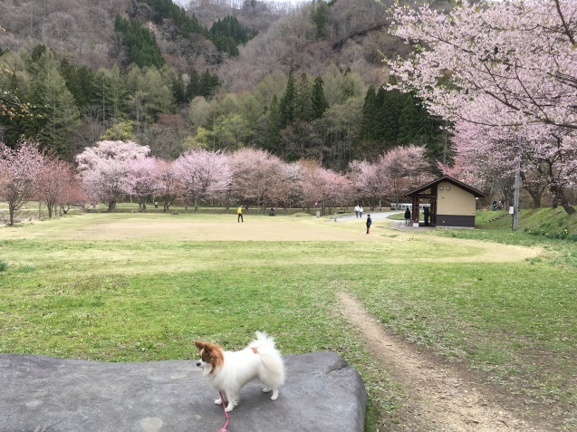 ゴールデン出張 その1_f0034602_09463353.jpeg