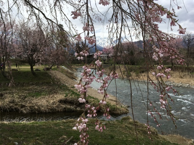 ゴールデン出張 その1_f0034602_09465586.jpeg