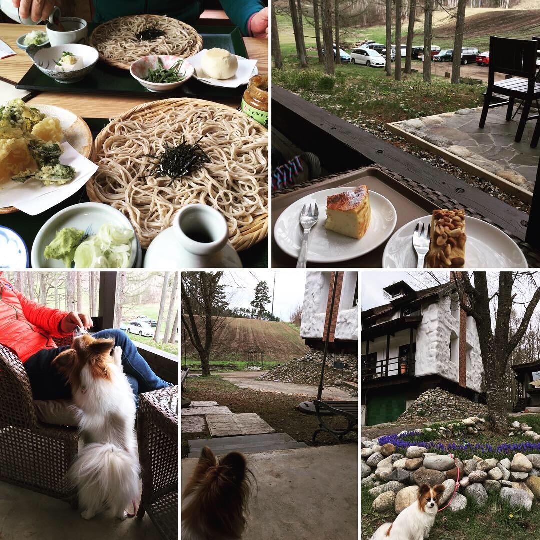 ゴールデン出張 その1_f0034602_09480766.jpeg