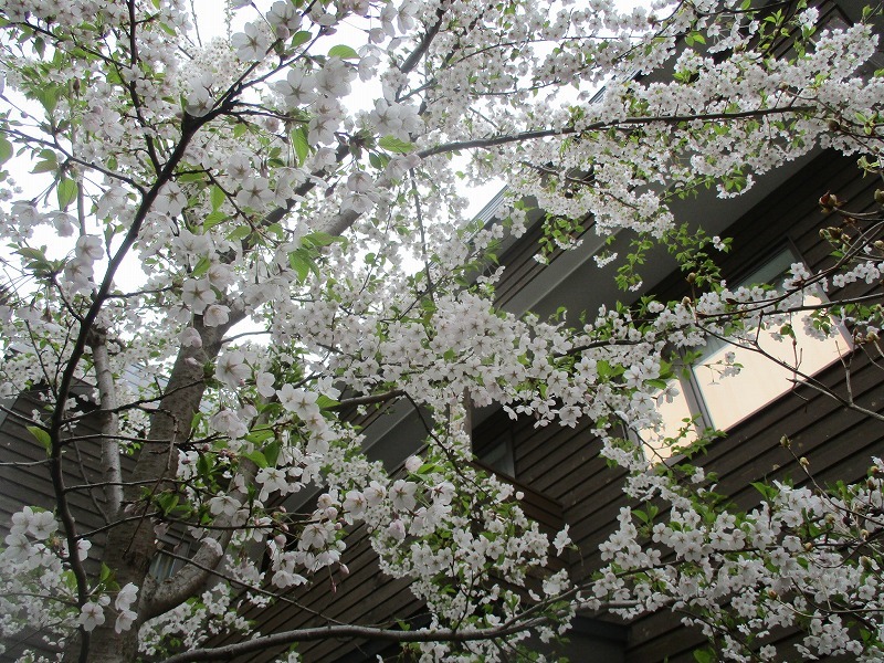 f0202703_22051046.jpg