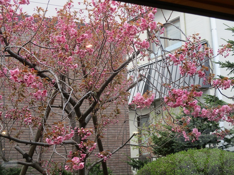 f0202703_22061960.jpg