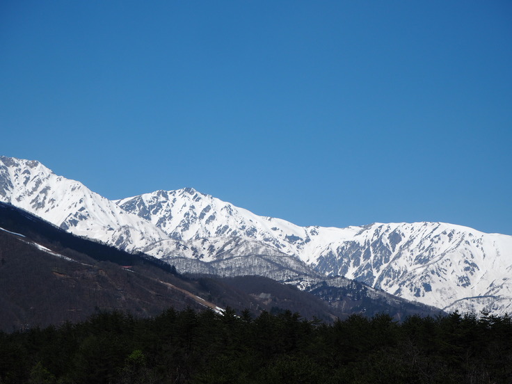 花たちと山々 ♪ (オットとプチ旅☆思い出)_c0212604_2143878.jpg