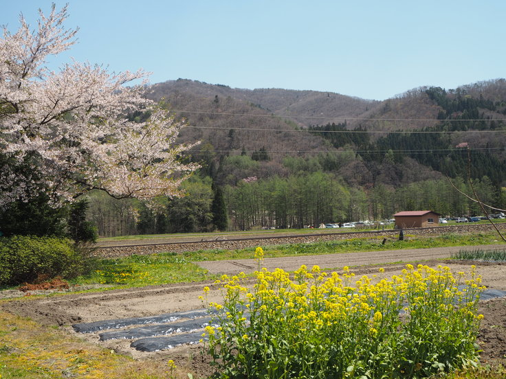 花たちと山々 ♪ (オットとプチ旅☆思い出)_c0212604_2150740.jpg