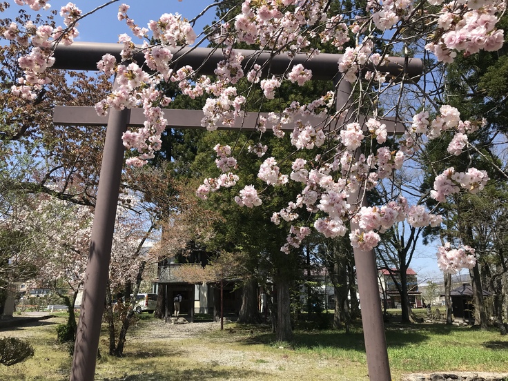 花たちと山々 ♪ (オットとプチ旅☆思い出)_c0212604_2233237.jpg