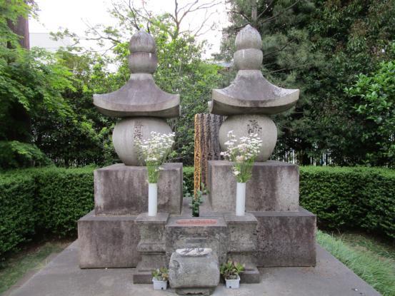 術後8回目の検診_f0064906_17452946.jpg