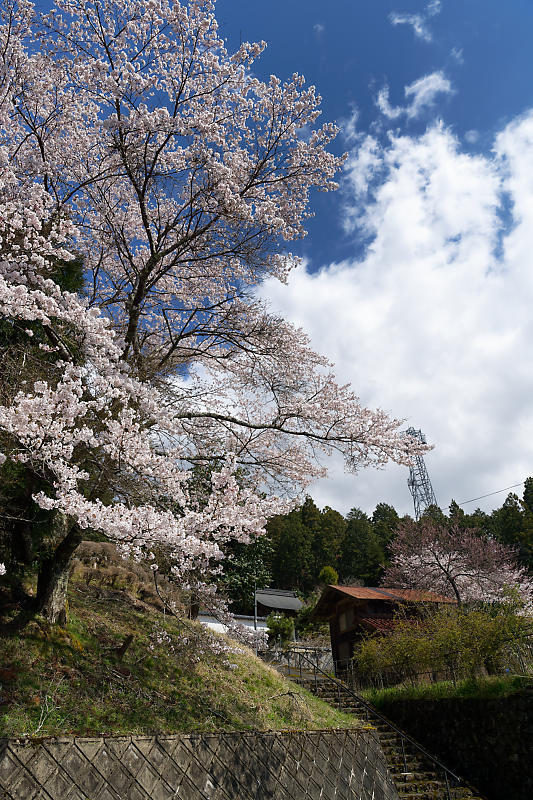 f0032011_20282007.jpg