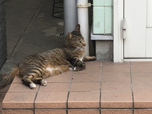 衣替え_d0184114_20475745.jpeg