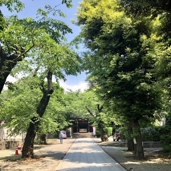 義父の四十九日法要と環水平アーク_f0197215_10583995.jpg
